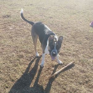 Meet your Posher, Diane